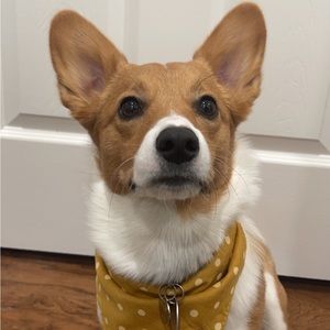 About Me - Seller Info